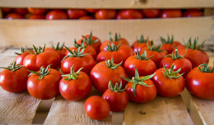 Tomaten-Guide